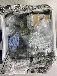 生体入荷！ 2022/11/16 12:41:54