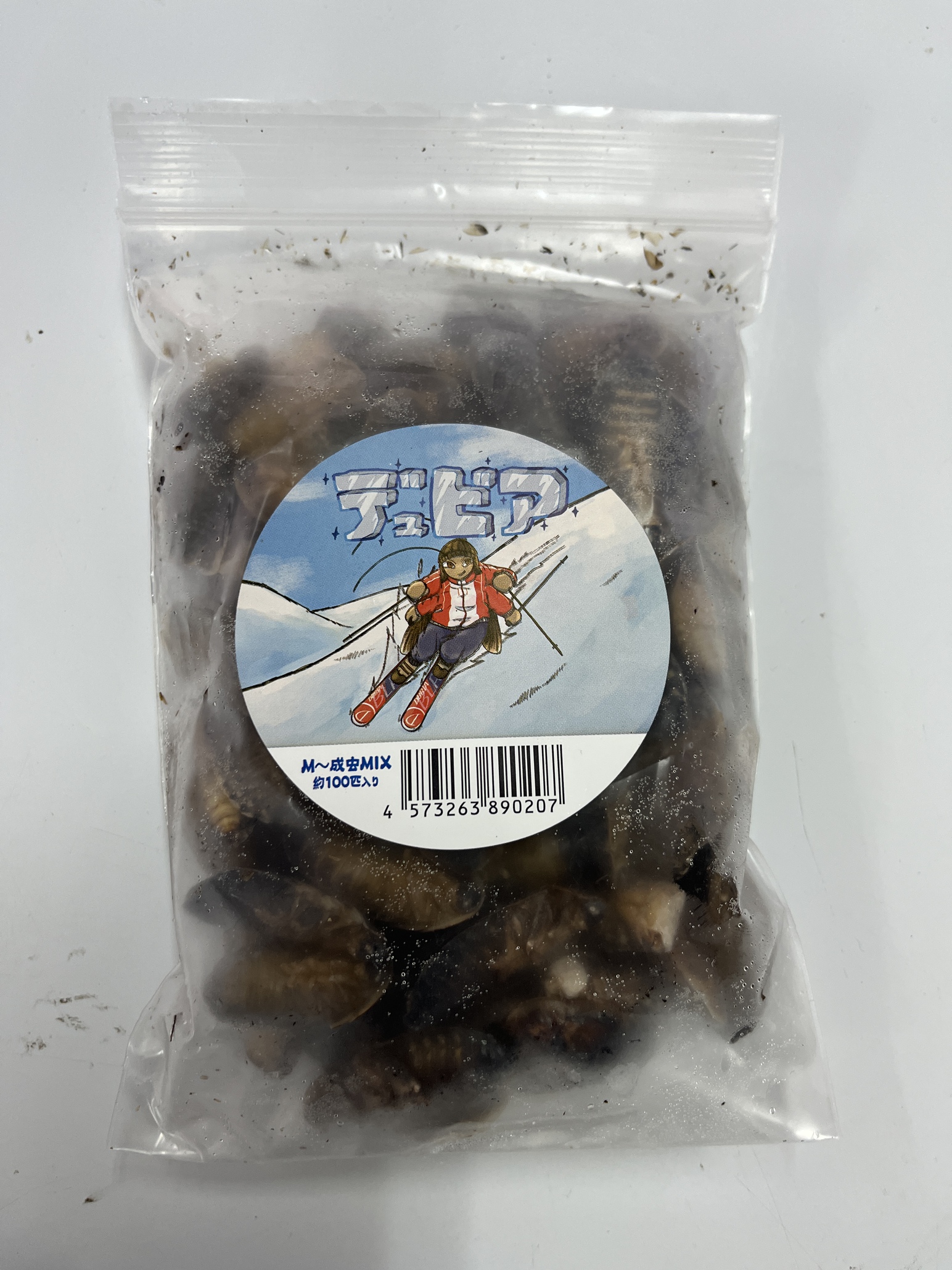 新規取り扱い＆ミジンコ入荷！
