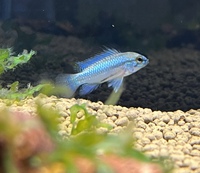 生体入荷！ 2022/10/18 14:33:26