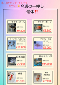 一押し個体！ 2022/09/07 16:08:31