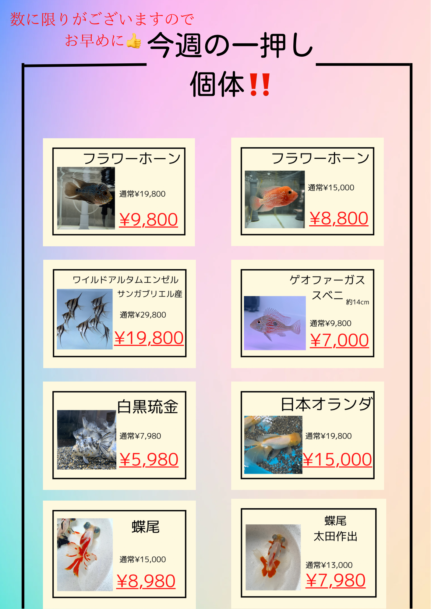 本日は16時からのオープンになります！