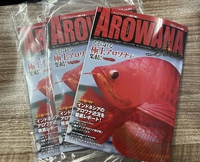 アロワナライブ入荷‼️ 2022/10/13 11:14:36