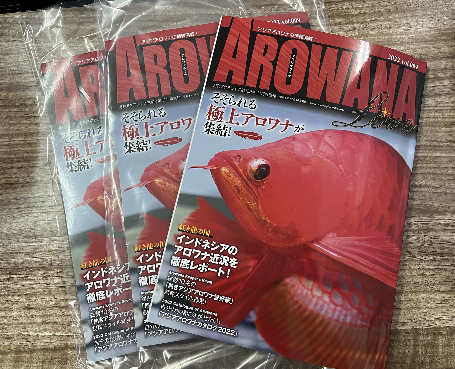 アロワナライブ入荷‼️