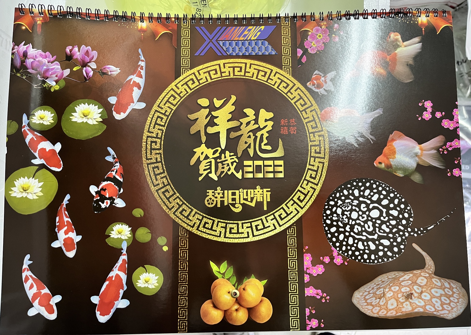 生体入荷！