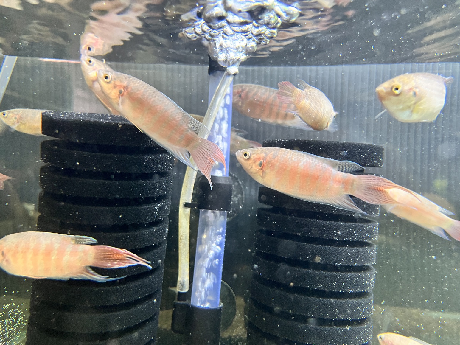 沢山入荷しました！