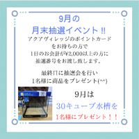 月末抽選会！ 2022/09/06 12:52:44