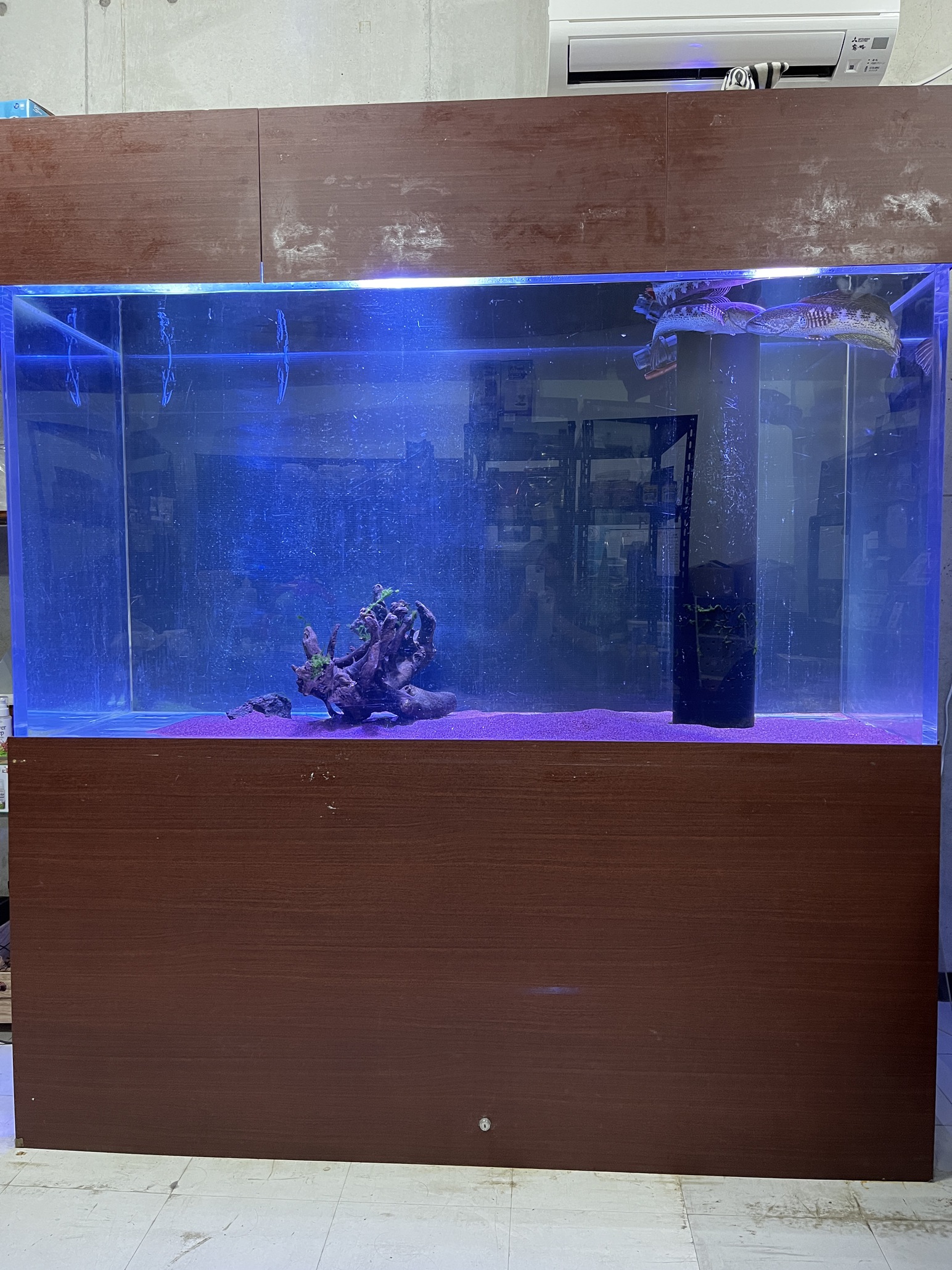 中古　大型水槽　