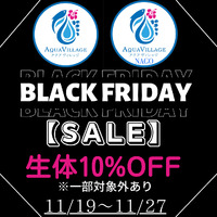 ＢＬＡＣＫ　ＦＲＩＤＡＹ　ＳＡＬＥ！！ 2022/11/19 08:51:55