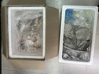 生体入荷！＆SALE明日まで！ 2022/11/26 12:24:38