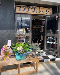 アクアヴィレッジ名護店オープン２日目！ 2022/10/02 09:42:04