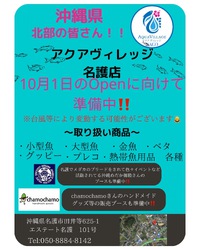 名護に出来ます‼️ 2022/09/14 18:32:45