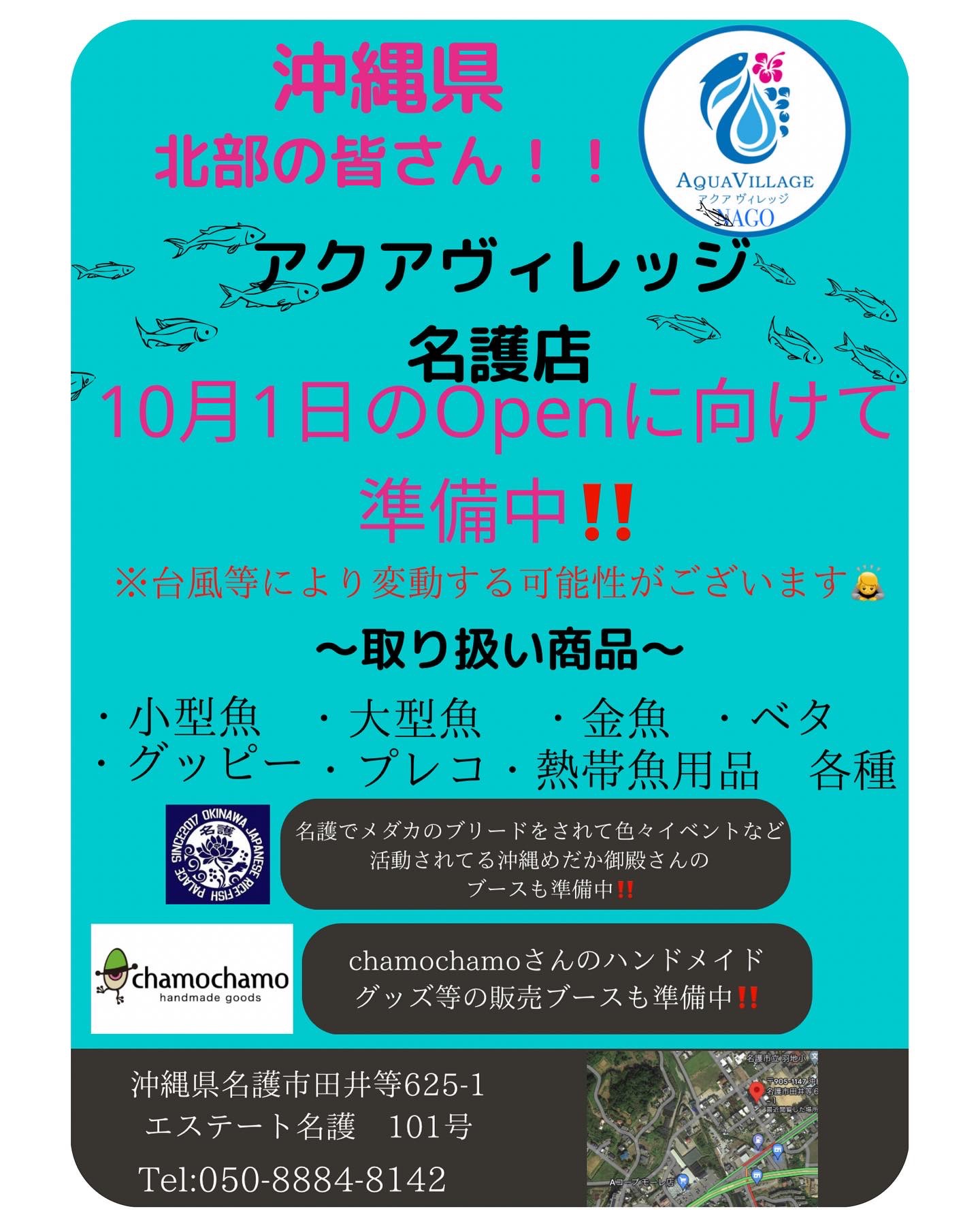 名護に出来ます‼️