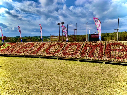 プロ野球 キャンプ⚾️ 東北楽天イーグルス