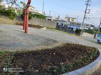 緑の募金 2020/11/22 12:05:00