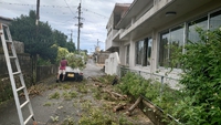 雨の中 2020/07/26 17:44:18