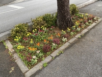 少しずつ 2021/03/07 10:47:36