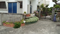 お花１４ 2020/04/23 14:15:36