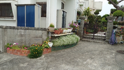 お花１４
