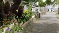 おはようございます 2021/06/01 09:14:09
