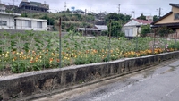 うれしい事3 2021/04/22 18:08:09