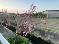 いい天気だ 2021/02/08 08:08:13