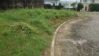 長い梅雨ですね 2021/07/01 12:57:00