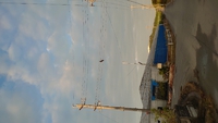 珍しく 2020/09/23 07:35:38
