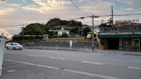やってみるか、からはや2ヶ月とプラス1ヶ月位のその後 2021/06/08 15:40:00