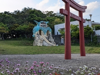 昨日の夕方 2022/04/10 20:19:05