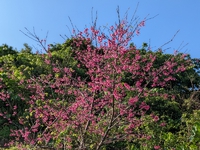 いい天気ですね！ 2022/02/06 11:16:31