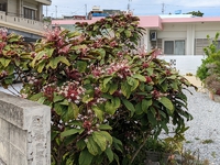 いつもありがとう 2022/02/11 15:31:33