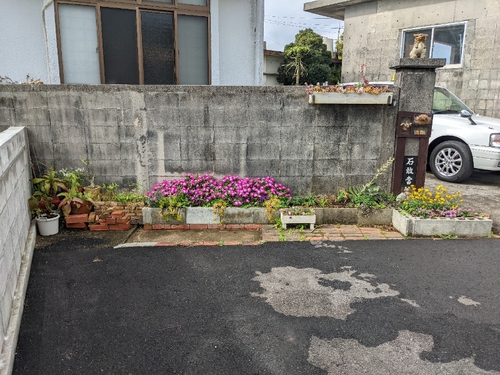 春も近い かな？