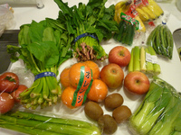 野菜と果物がた～っぷり☆