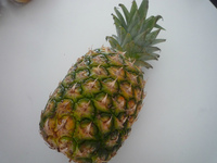 嬉しい頂き物☆