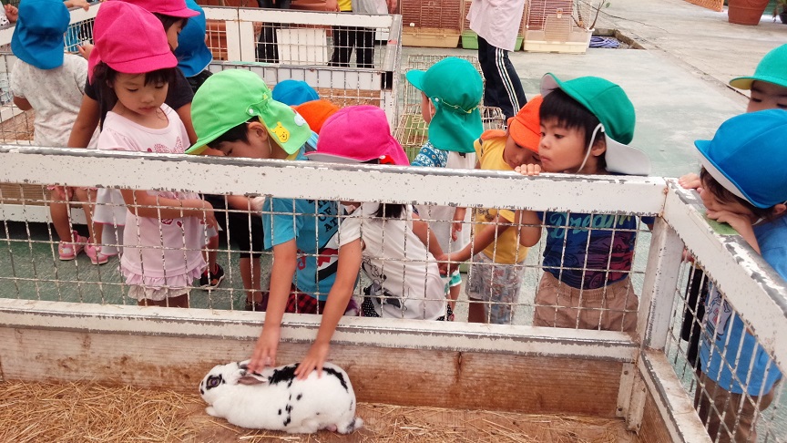 ψ　ミニミニ動物園に行ったよ～　ψ