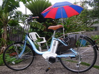 とうとう買ってしまいました。 2013/04/01 14:26:45
