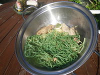 鍋の季節到来。 2013/10/28 08:52:31