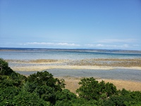夏の暑さで～す 2020/06/01 19:57:21