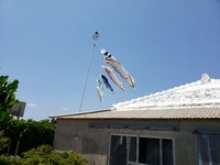 キビ刈り終了～♪♪ 2021/04/26 12:31:22
