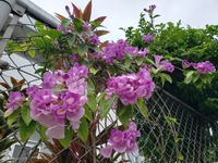 ちょっと可哀想だよね～♥ 2020/10/22 13:03:42