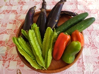 我が家の野菜室♥ 2020/11/25 09:38:15