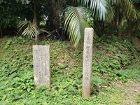 日本一早い田植え 2022/01/09 16:58:29