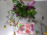 桜色のご飯炊いてみました 2022/02/24 13:41:19
