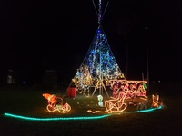 南の島のクリスマス 2021/12/26 08:42:45