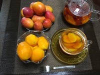 美味しいマンゴーの選び方、見分け方 2017/12/10 21:52:05