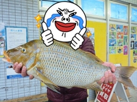 釣れないタマンを釣りに！ 2015/01/29 17:29:58