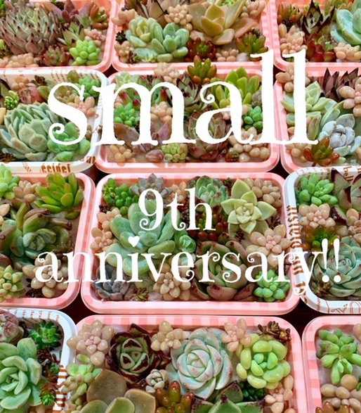 small ＊9周年祭＊