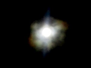 綺麗な月夜