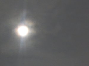 綺麗な月夜