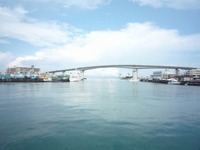 阿嘉島ダイビング！ 2008/08/20 09:18:00